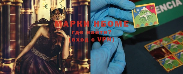 прущие грибы Заволжье