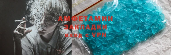 прущие грибы Заволжье