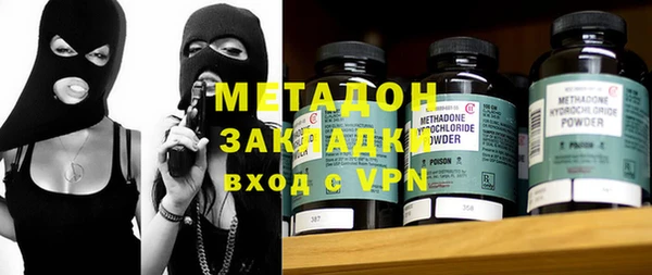 прущие грибы Заволжье
