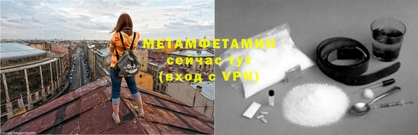 прущие грибы Заволжье