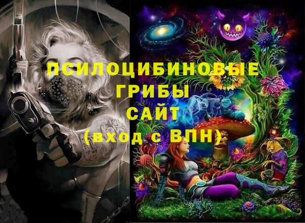 прущие грибы Заволжье