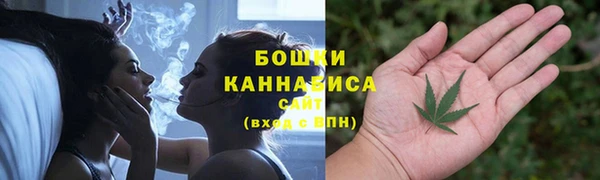 дмт Заводоуковск