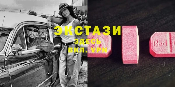 прущие грибы Заволжье